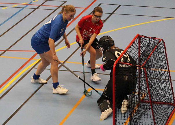 Bildextra: Fullträff för Skillingaryds IK