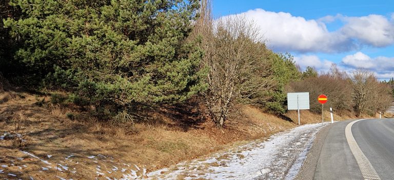 Synpunkter på buller – vall ska höjas