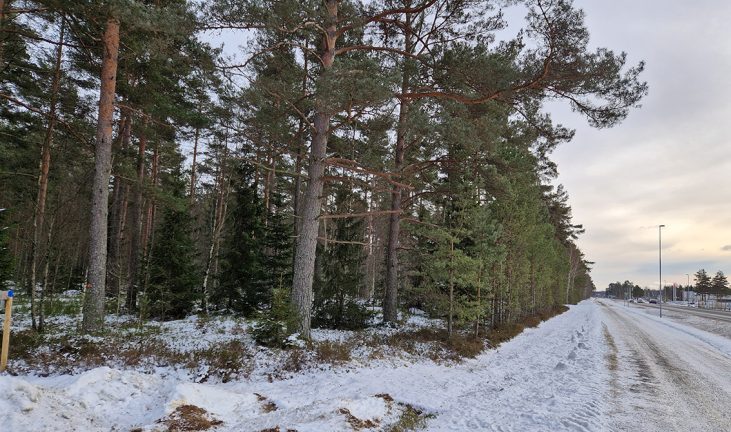 Därför är skogen markerad på Pålenfastigheten