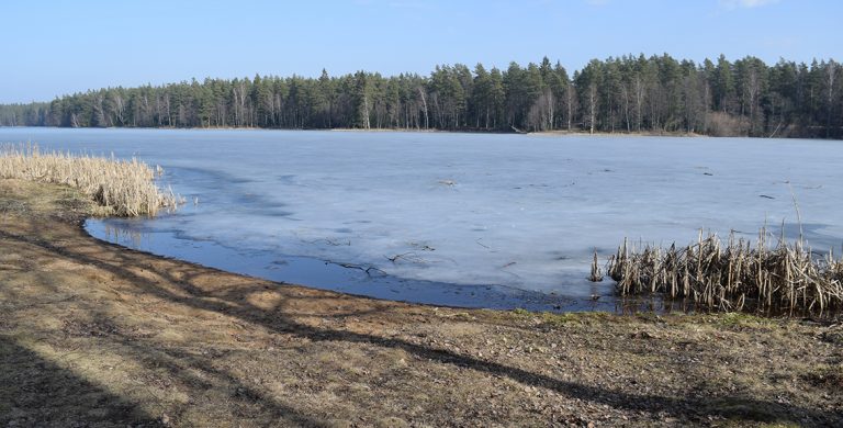 Åhult kan bli ny kommunal badplats
