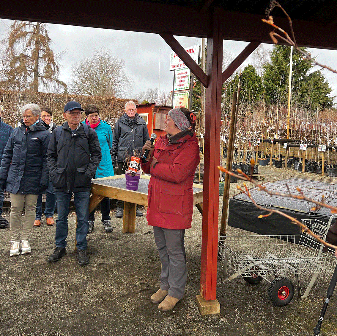 Seniorer besökte Fagerhults Plantskola