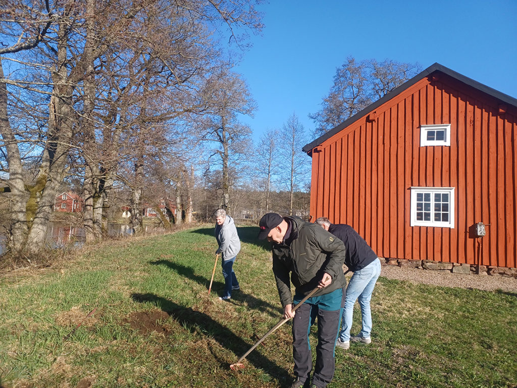 I måndags såddes ängsblommor vid Järnboden I Götafors av Urban Ygemar, Annika Filipsson samt Annika och Jörgen Åberg.