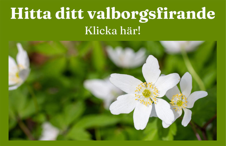 260430-Valborg-260423-x