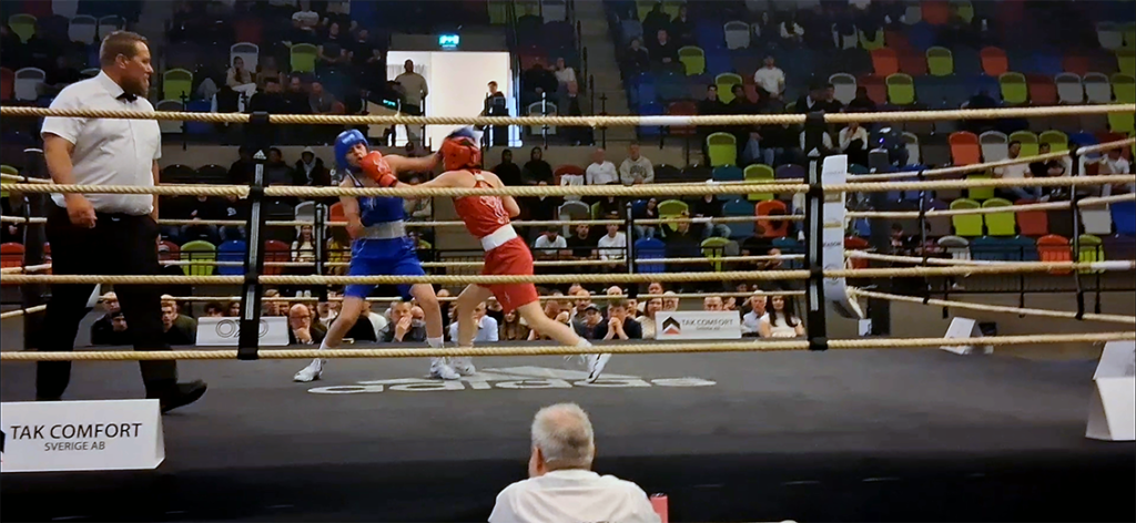 Bild på två boxare.