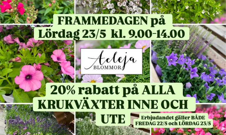 260523 Acleja Frammedagen 260522 x