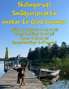 260814-Skillingaryds-smadjur-sommar-260629-135.jpg