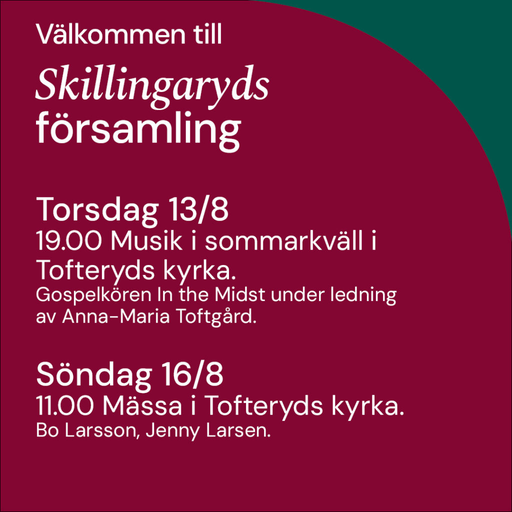 260810-skillingaryds-fors-v33