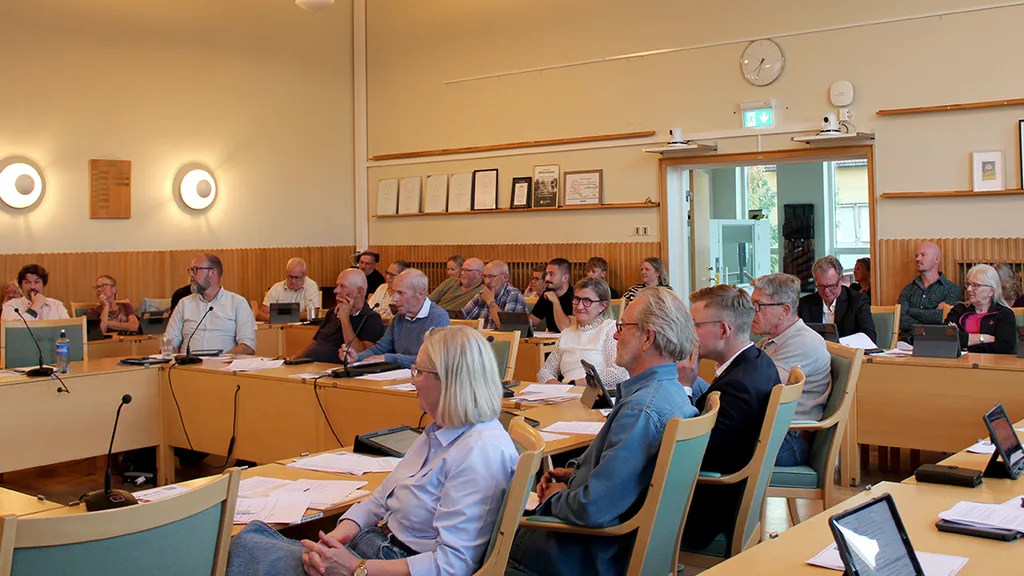 Fullmäktige