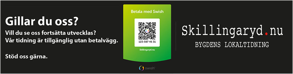 261001-Egen-annons-swish-260803-x.jpg