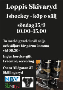 260913-Skivaryd-loppis-260828-135.jpg