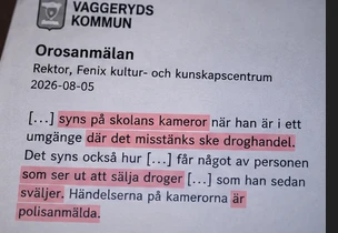 Formuleringarna i rektorns orosanmälan.