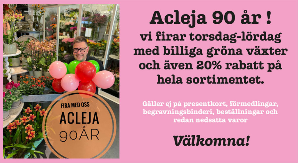 260926-Acleja-260923-x.jpg