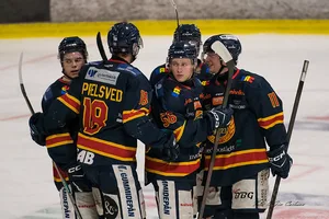 Ishockey, Bandy