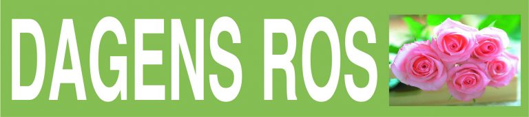 Världens bästa ambulanspersonal