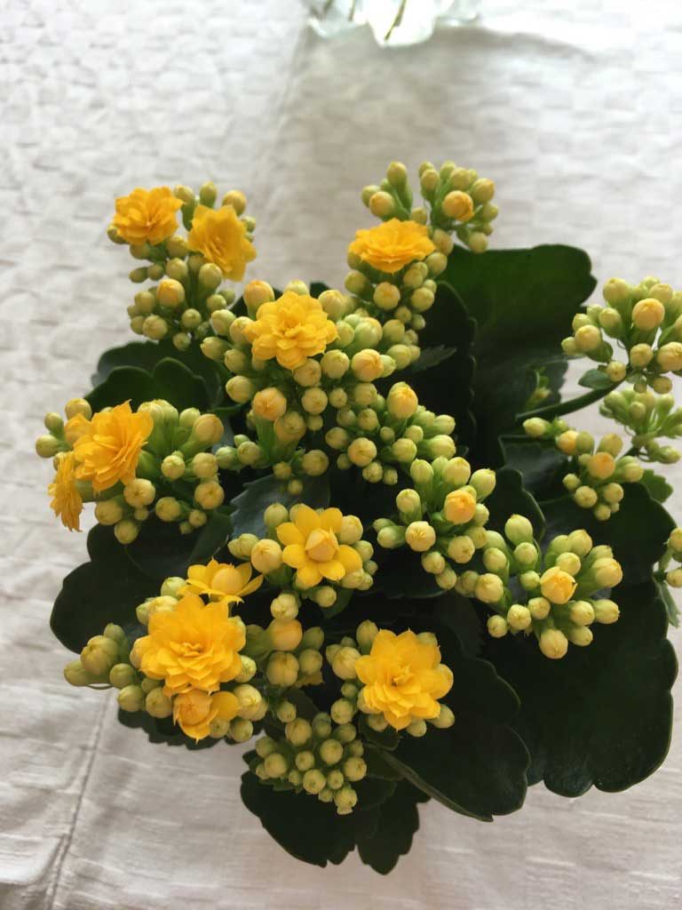 Till dig som visar omtanke och glädje